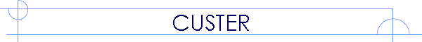 CUSTER