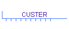 CUSTER