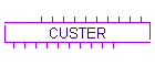CUSTER
