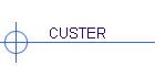 CUSTER